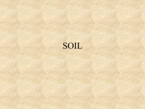 SOIL