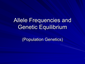 Allele Frequencies and Genetic Equilibrium