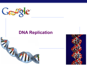 DNA Replication - Biology Junction