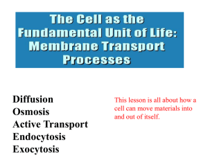 Science - Cell Membrane