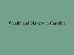Wealth and Slavery in Carolina