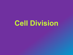 Cell Division - s3.amazonaws.com