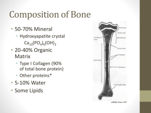 Prematriculation_Bone_Preview