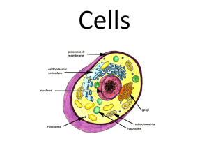 Cells - Images