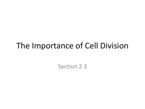 The Importance of Cell Division - kyoussef-mci