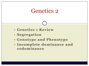 Genetics 2 - Cloudfront.net