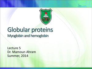 Fibrous and globular proteins Structure