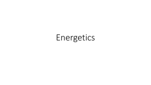 Energetics Pwr Pt - The Practical Educator