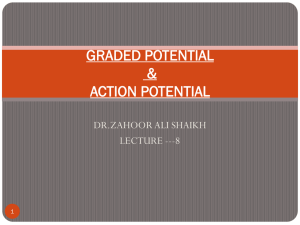 action potential