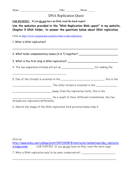DNA Replication Worksheet