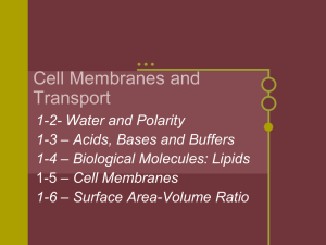 1-6 Cell membranes