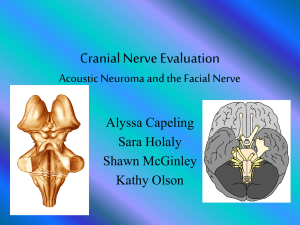 Cranial Nerve Evaluation Acoustic Neuroma and the Facial Nerve