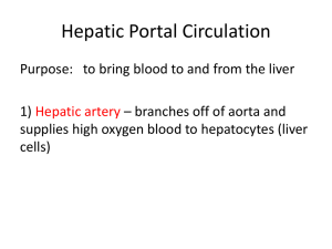 Hepatic Portal Circulation