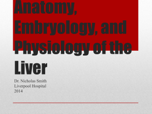 Liverpool Liver Anatomy T1 2014
