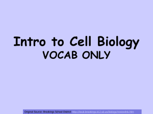 Intro to Cell Biology Review - Houston Independent School District