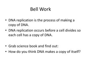 DNA replication Notes