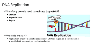 How and why does DNA replicate?