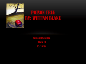 Poison Tree By: William Blake