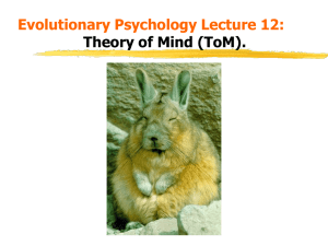 Theory of Mind (ToM)
