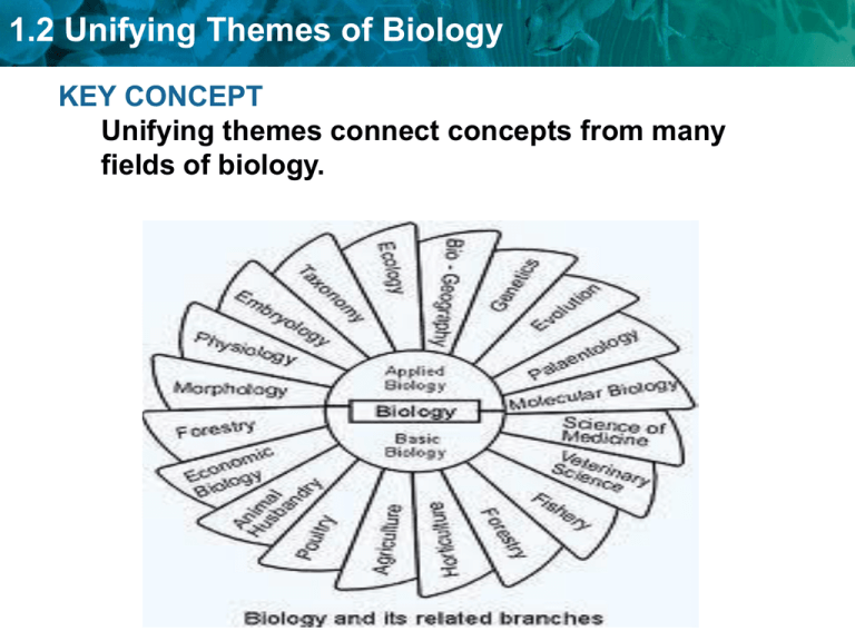 1-2-unifying-themes-of-biology