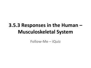3.5.3 Responses in the Human * Musculoskeletal System