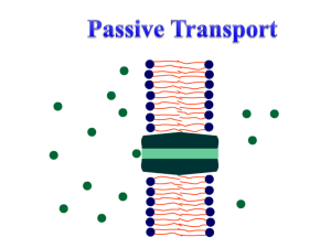 Passive transport