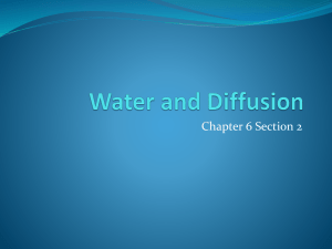 Water and Diffusion