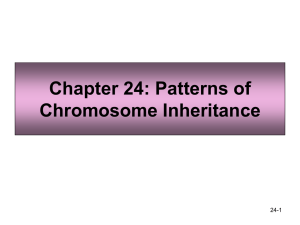 Chapter 24: Patterns of Chromosome Inheritance