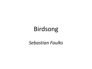Sebastian Faulks Birdsong