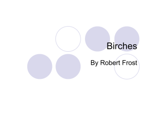 Birches - Cloudfront.net