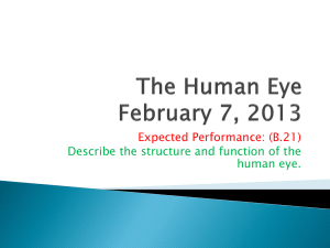 The Human Eye Lesson Study Guide