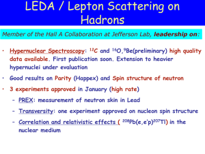 LEDA / Lepton Scattering on Hadrons