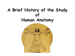 History of Anatomy & Physiology Discussion