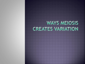 Ways Meiosis creates variation