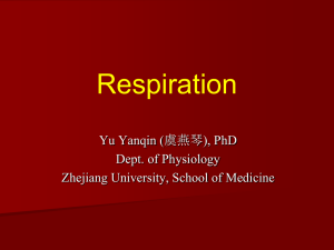 05-Respiration-1-yu-2014