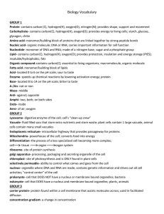 Biology Vocabulary GROUP 1 Protein