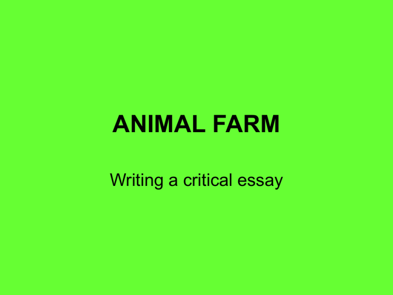 animal farm essay plan