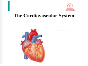 Anatomy Lect 5 – N.49 – Cardiovacular System