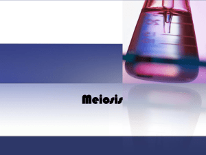 Meiosis II. What is meiosis?