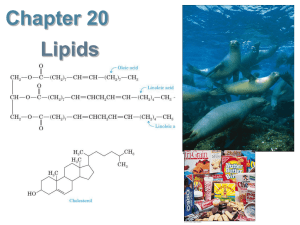 Chap.20_Lipids, part 1