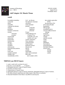 ch. 10 muscle tissue study guide