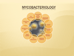 Mycobacteriology revised