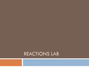 Reactions Lab