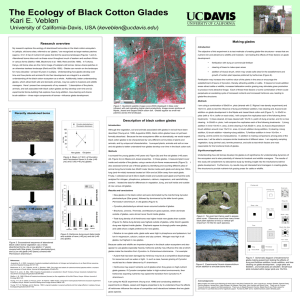 The Ecology of Black Cotton Glades