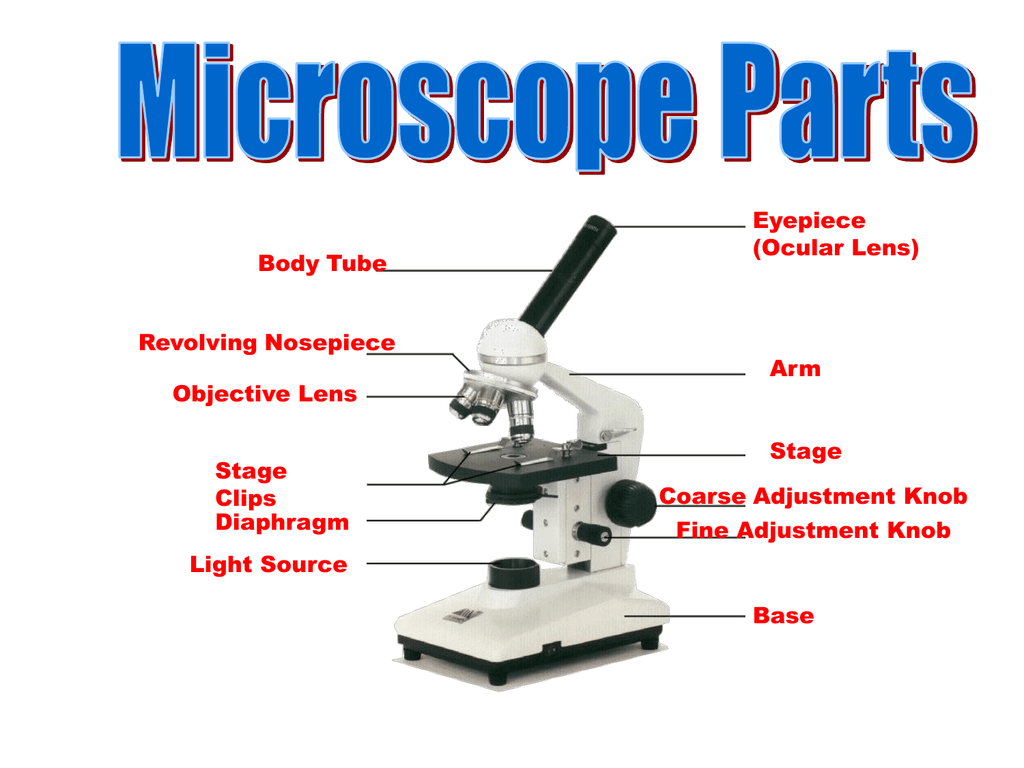 Compound Microscopes Light Source | Shelly Lighting