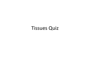Tissues Quiz