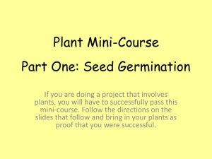 Plant Project Mini