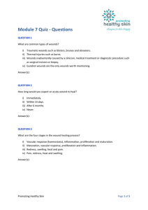 Quiz 7 - MS Word 2007 document ()