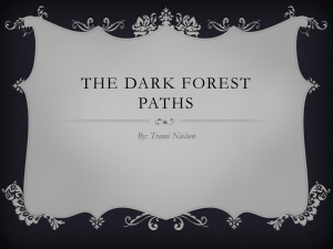 The Dark forest paths