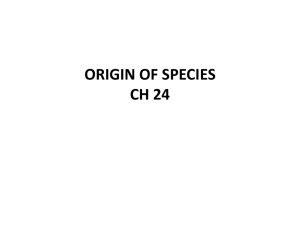 ORIGIN OF SPECIES CH 24